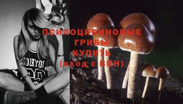 марки lsd Магадан